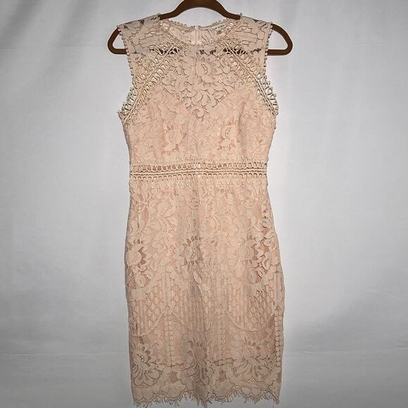 Main Strip Sleeveless Crochet Lace Knee Length Dress Nude Womens Size Medium - Picture 5 of 10
